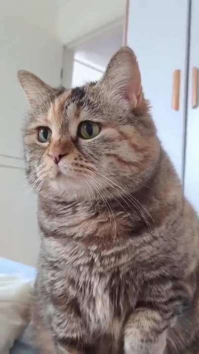 when I came over to complain a little.