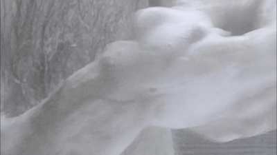 sensual is black n white