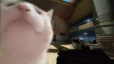 Oh god, they've set a trap for him! *pounding door* FREEMAN!!