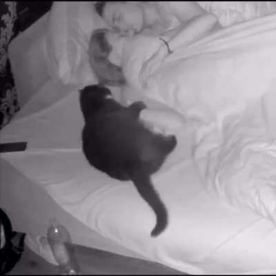 he wants to play with someone at night
