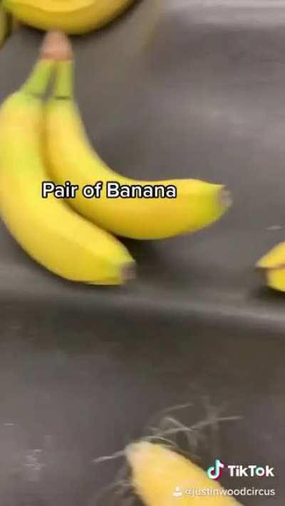 Flock Of Banana 🍌🍌🍌