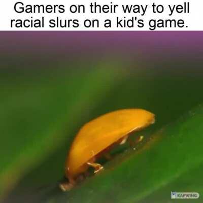 Cute Tippy Tap Sky Peanut