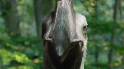 Prehistoric Planet singlehandedly made Hatzegopteryx one of my favorite animals ever.