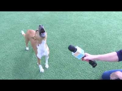 Sometimes you have to explain in it's entirety.