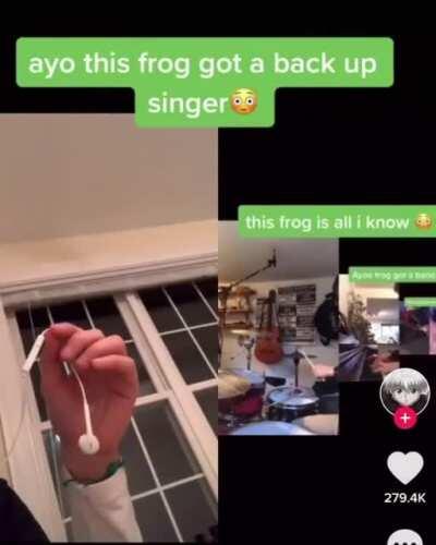 A cool little tune for the frog