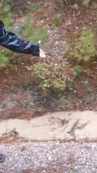 Kafir CeHapE vergilerimizle latte nehirleri yapıyor 😡🤬😠😤😤