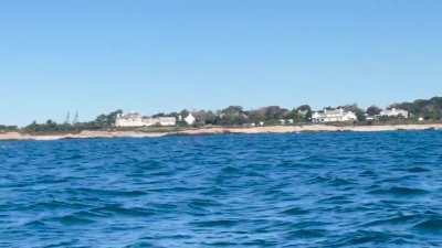 Dolphins? Porpoises? off coast of Newport RI