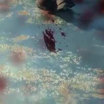 God I wish it were me killing that little shit