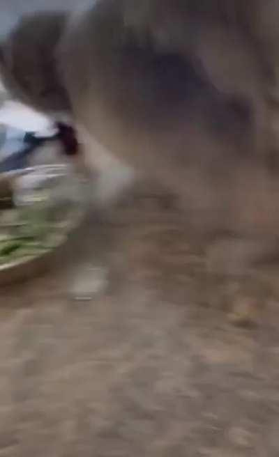 hm aqui parece ser confortável