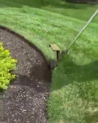 Clean cut and good camera man