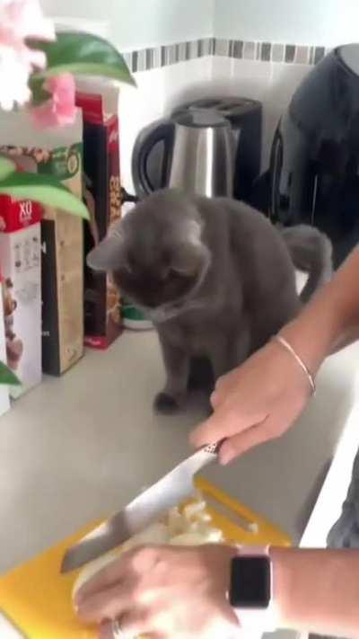 why is the air so spicy