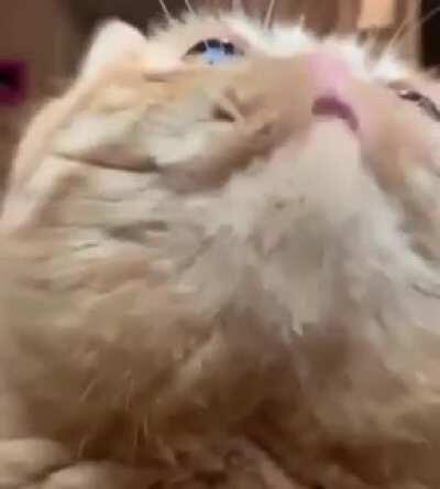 What’s that on the ceiling