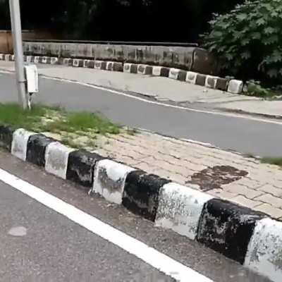WCGW Learning how to ride a bike on a highway