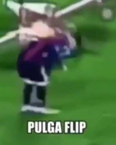 Pulguita flip