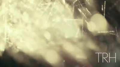 Joker / Gangsta's Paradise