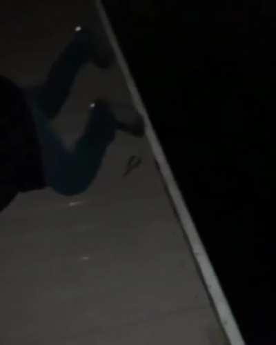 The Steve Irwin impersonation