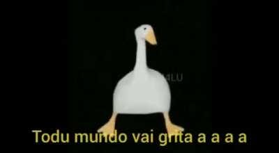Pato (creditos a criadora pos nao fui eu q fiz o meme)