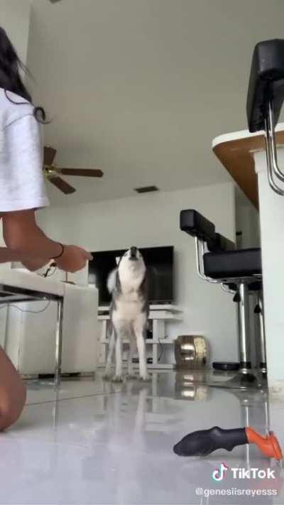 I know your tricks human