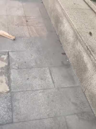 I have this sinking feeling that my city is gradually becoming a hellhole.