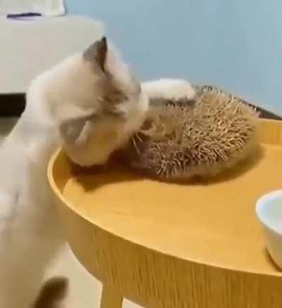 He can satisfy the cats itch, like noone can