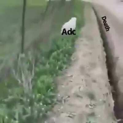 You cannot change the old ways