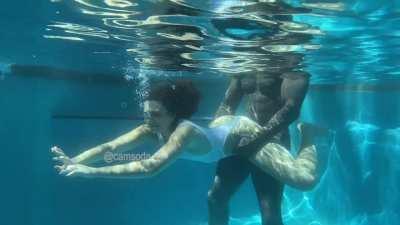 Great Black Shark Attack