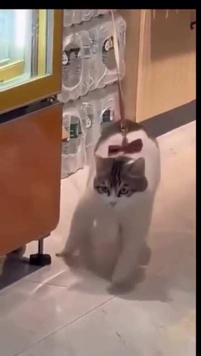 on the treadmill closes out leg day