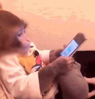 r/Monke members when post same video for 100th+ time (good sign they might be inactive on media)