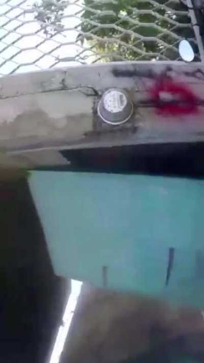 Sicarios Use GoPro To Record Deadly Assault In Broad Daylight