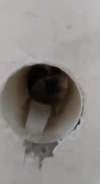 it scared tf out of me