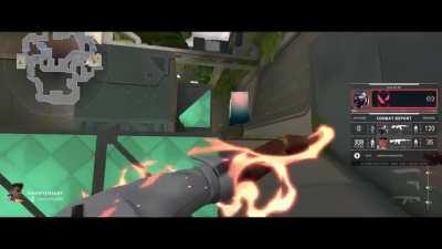 Average Pheenicks main