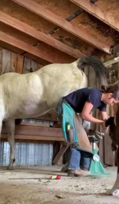 When you gotta go you gotta go