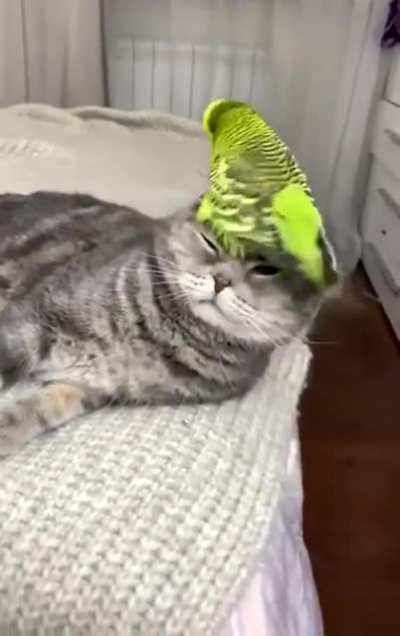 An unlikely friendship.