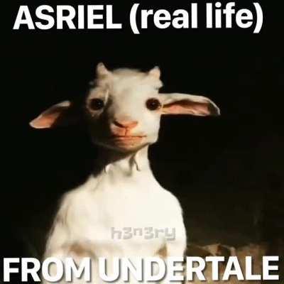 I Wonder if Sans Israel Too?! 😳😳😳