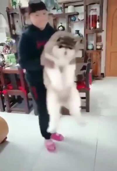 Road to the ultimate floof