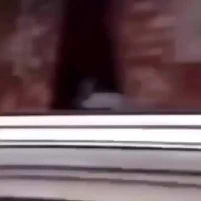 why is he screamin!!!!!!!