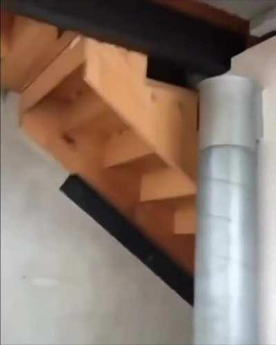 Just got a new puppy... my cat is still adjusting