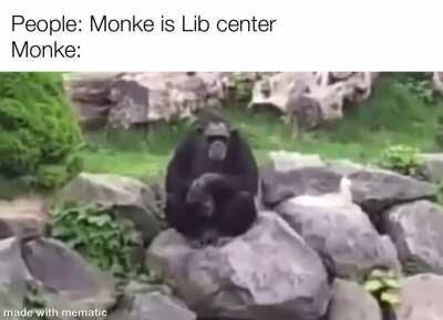 Monke is Auth Center.