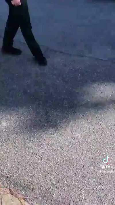 Brevard County FL Sheriff’s Deputies assaulted and detained a man for filming a bogus search of his vehicle.