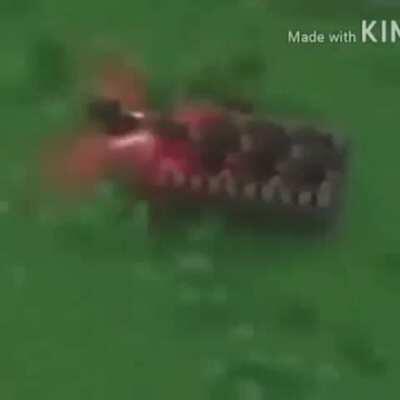 Rule (sorry for reposting from 998 this is all I had on me.)