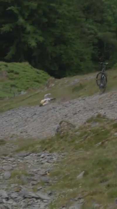 Camera guy gave no fucks