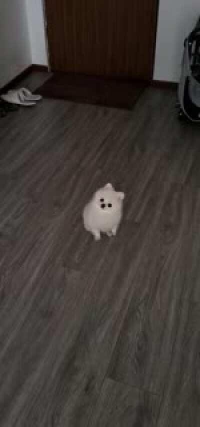 Caesar tilting his little head for Leaves on the vine - Avatar cuteness overload