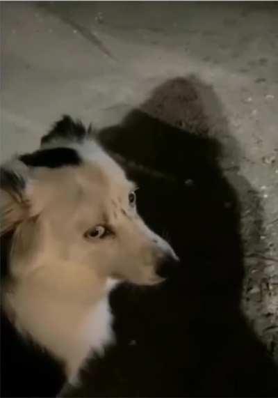 Why is you mouth making that noise