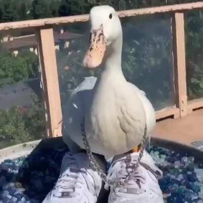 Pana Jose Francisco wearing Nike Fuerza Aerea bien gucci alto kpo 😎👌