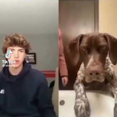 he punched the fucking dog 😡