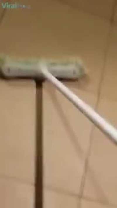 Me: *fix a bug* Bugs: