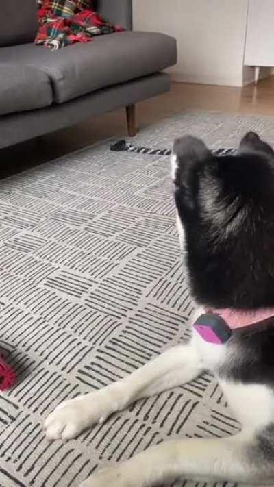 Great comedic timing