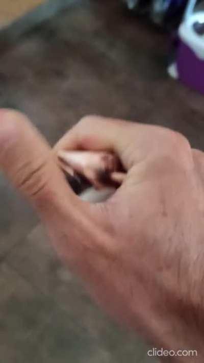 Recliclar es salvar al mundo