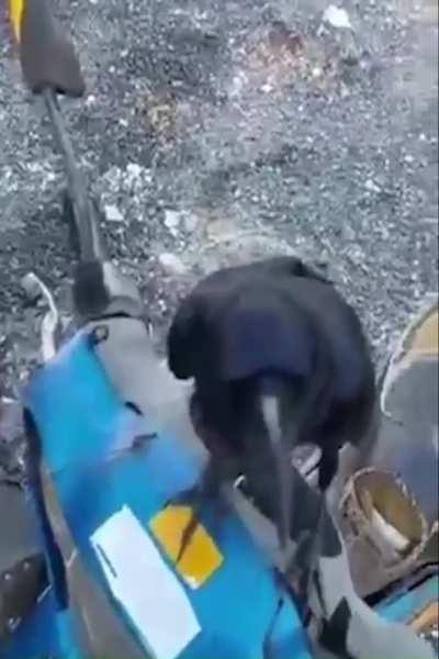 press eileen to eileen