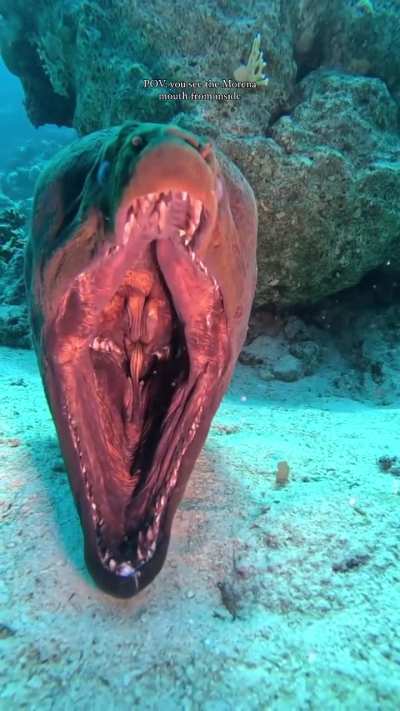 The ocean is such a scary place!